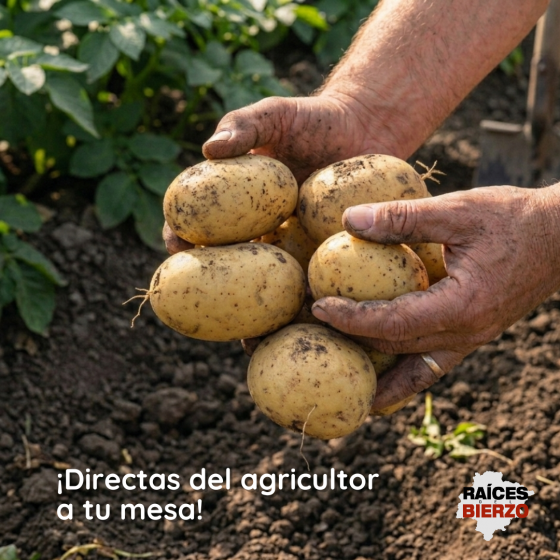 Patatas Gallegas (2)